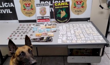 Operação Conjunta em Bragança Paulista Apreende Drogas e Detém Suspeito com Apoio do Canil da GCM