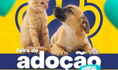 Adote um Amiguinho: Feira de Adoção de Cães e Gatos Acontece nesta Quarta-feira em Atibaia