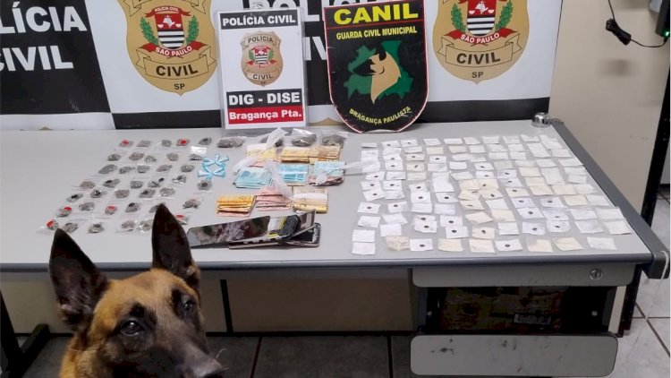 Operação Conjunta em Bragança Paulista Apreende Drogas e Detém Suspeito com Apoio do Canil da GCM
