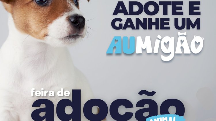 Amor de Quatro Patas: Feira de Adoção em Atibaia