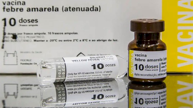 Prefeitura de Bragança Paulista Reforça Vacinação Contra Febre Amarela