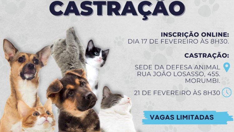 Atibaia Realiza Mutirão de Castração para Pets: Inscrições Abertas