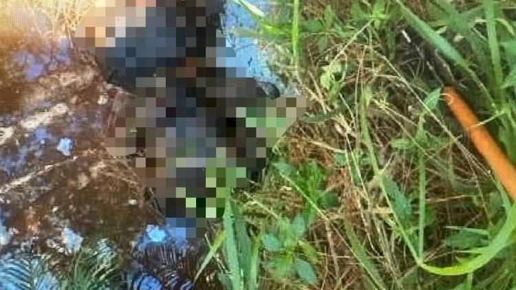 Corpo em decomposição é encontrado em Atibaia com sinais de violência