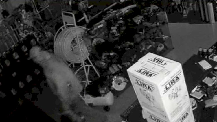 TENTOU FURTAR LOJA DE FERRAMENTAS E FOI PRESO BOM JESUS DOS PERDÕES