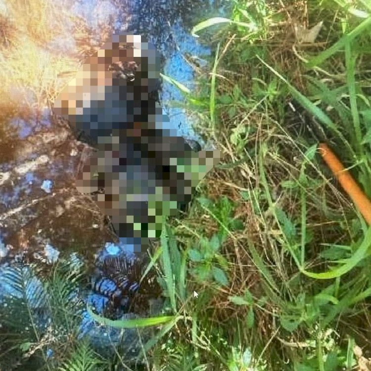 Corpo em decomposição é encontrado em Atibaia com sinais de violência