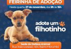 Feira de Adoção de Filhotes