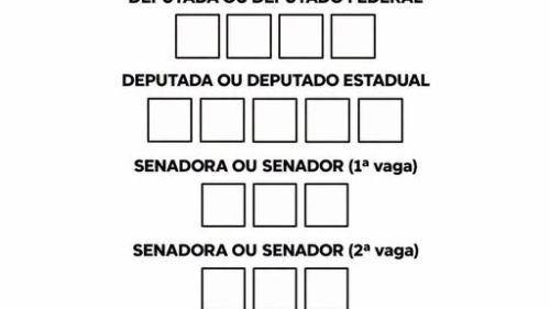 VOCÊ SABE A ORDEM DE VOTAÇÃO NAS ELEIÇÕES?