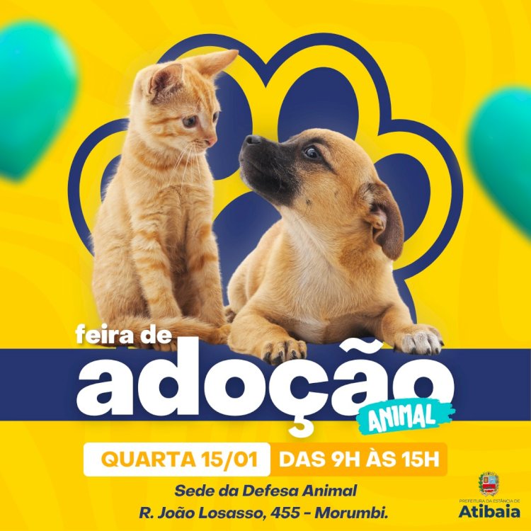 Adote um Amiguinho: Feira de Adoção de Cães e Gatos Acontece nesta Quarta-feira em Atibaia