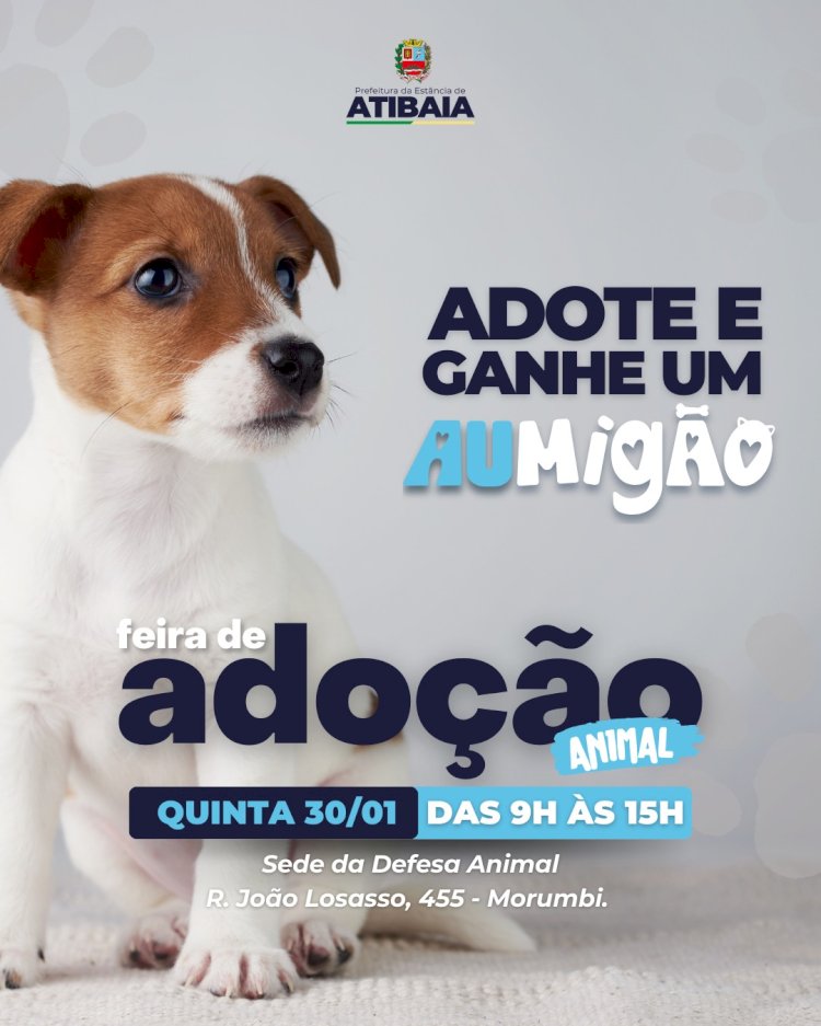 Amor de Quatro Patas: Feira de Adoção em Atibaia
