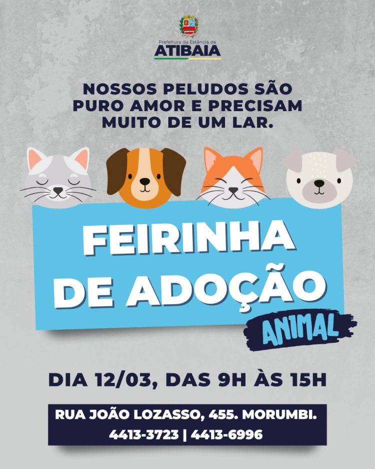 Atibaia Realiza Feirinha de Adoção para Pets no Dia 12 de Março
